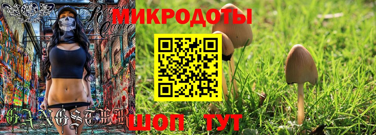 где купить наркотик  Вход с VPN  Мурманск  Псилоцибиновые грибы Magic Shrooms 